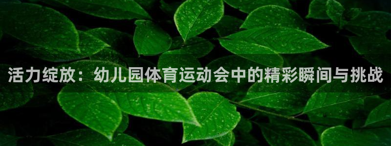 利记官网下载招商电话地址:活力绽放:幼儿园体育运动会中的精彩