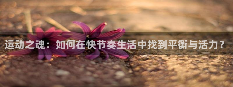 利记官网下载软件:运动之魂:如何在快节奏生活中找到平衡与活力