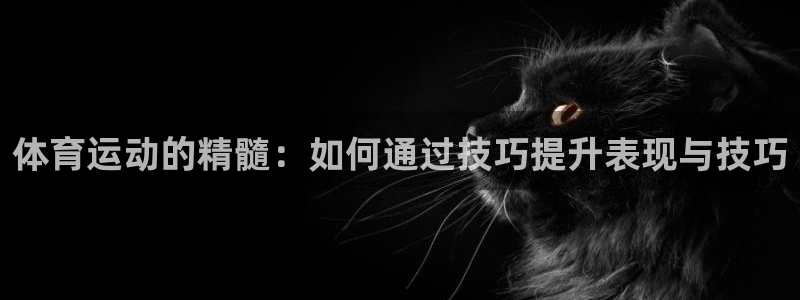 利记官网下载招商:体育运动的精髓:如何通过技巧提升表现与技巧